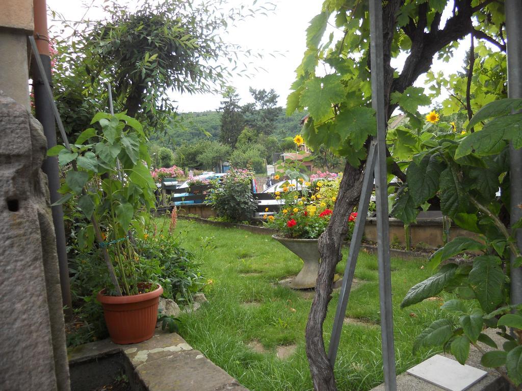 Rentz Martine Apartment Riquewihr Ruang foto