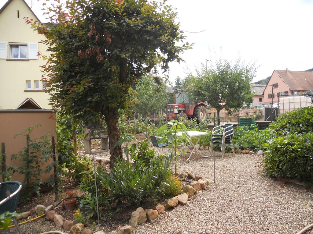 Rentz Martine Apartment Riquewihr Bagian luar foto